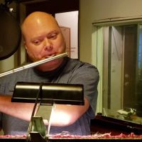 Invasion of The Snow Geese - for Solo Flute 